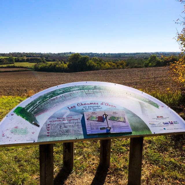 Côte Belet Pamproux, ambiance d'automne