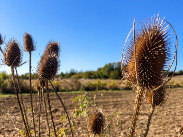 Côte Belet Pamproux, ambiance d'automne