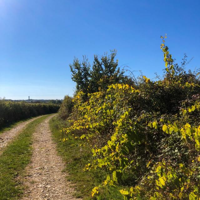 Côte Belet Pamproux, ambiance d'automne