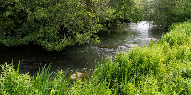 La Sèvre Niortaise