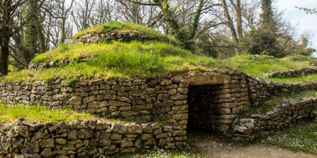 Tumulus de Bougon