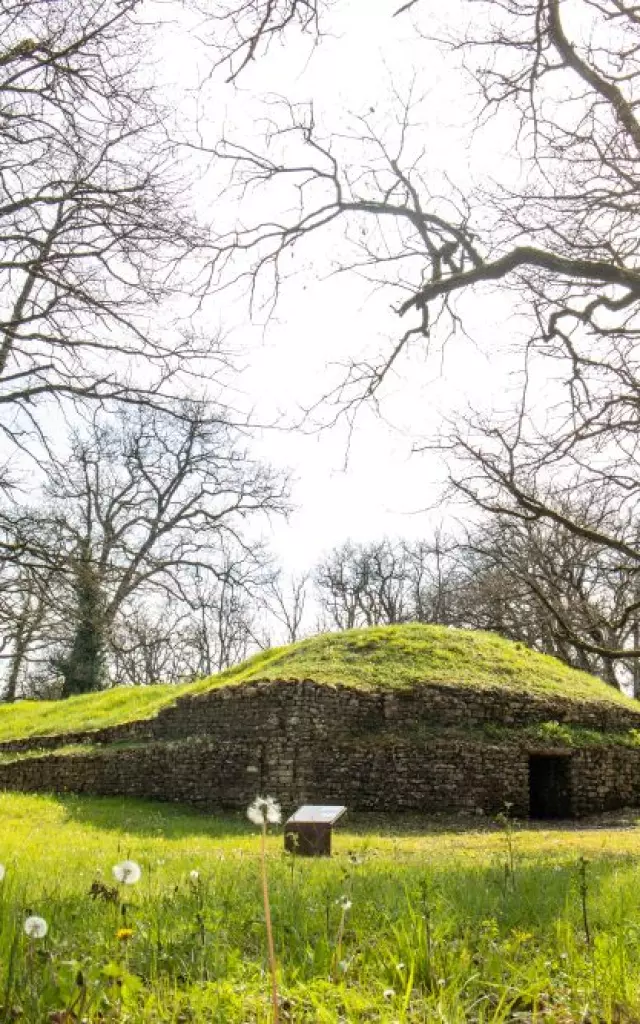 Tumulus de Bougon