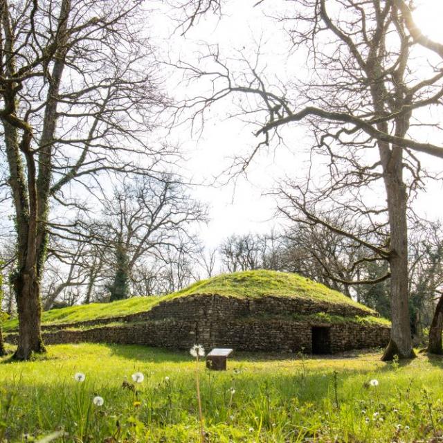 Tumulus de Bougon