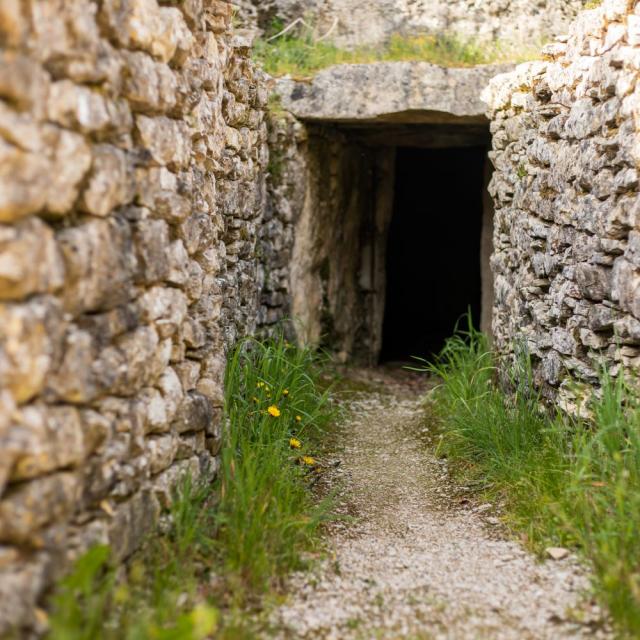 Tumulus de Bougon