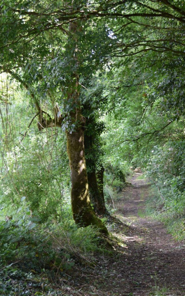 Chemin randonnée vers le lavoir de Puyblain