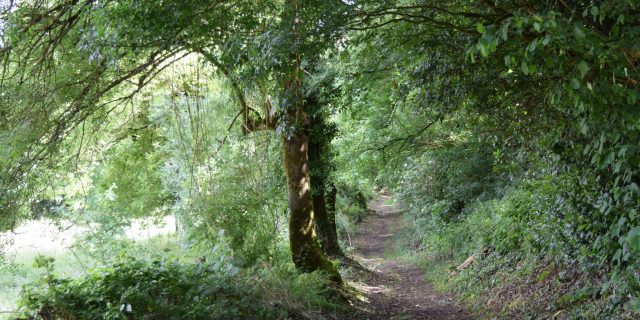 Chemin randonnée vers le lavoir de Puyblain