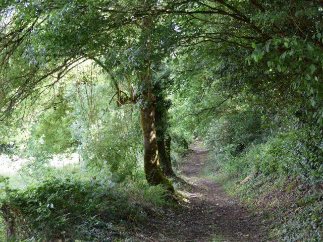 Chemin randonnée vers le lavoir de Puyblain