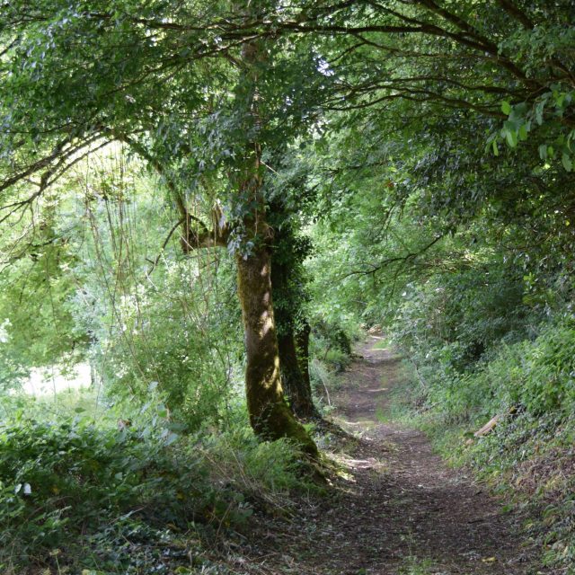 Chemin randonnée vers le lavoir de Puyblain