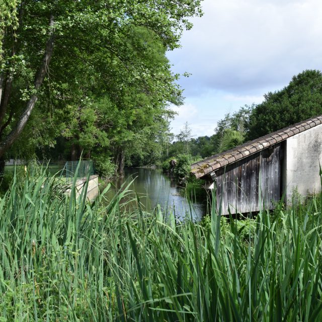 Lavoir de François