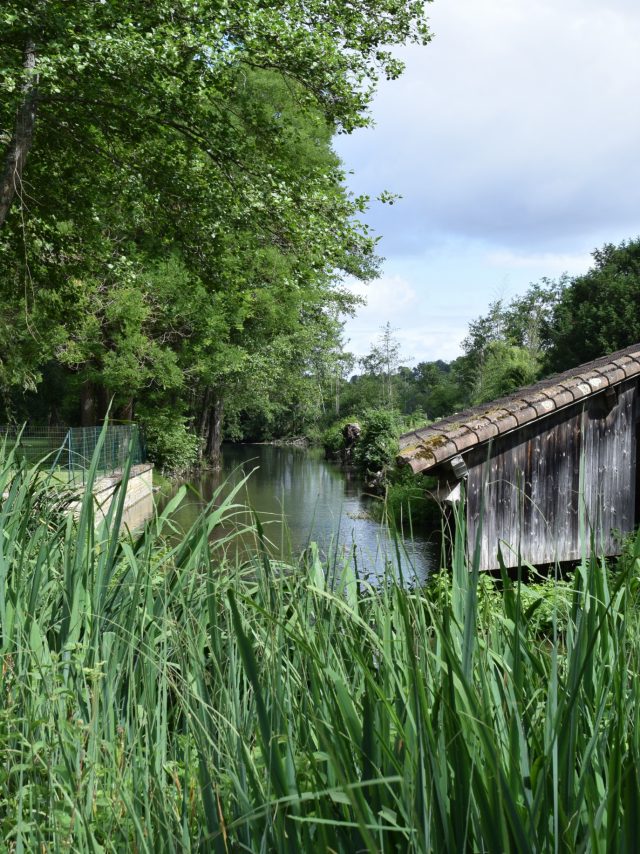 Lavoir de François