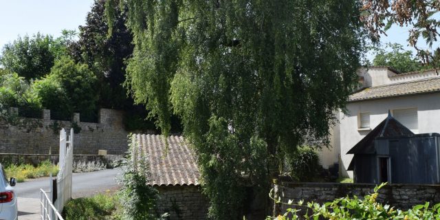 Lavoir près de la minoterie Boiron