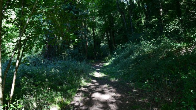 Chemin Carrière de Ricou à Azay-le-Brûlé