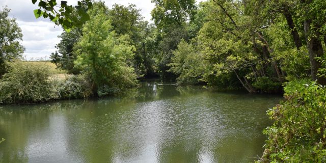 Ambiance Sèvre-Niortaise