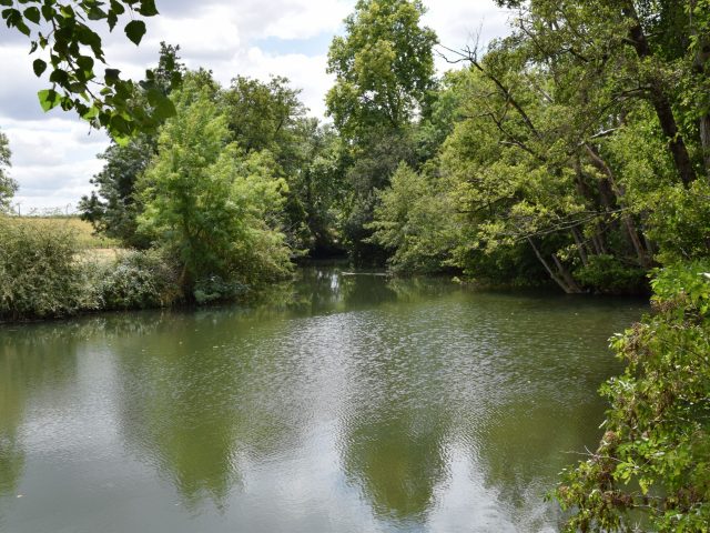 Ambiance Sèvre-Niortaise