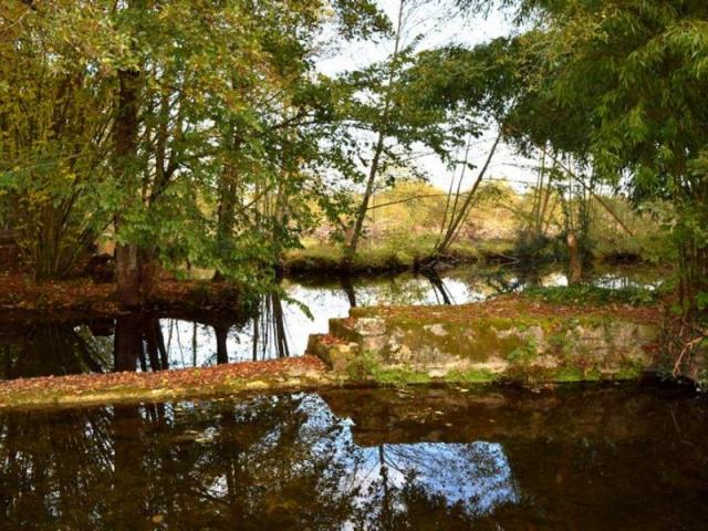 Moulin Pont De Vau La Creche 2