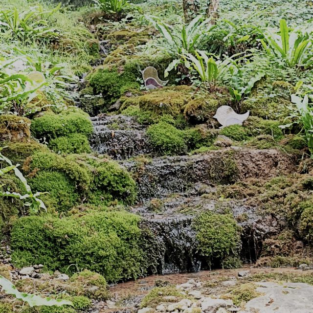 Jardin A fleur d'eau Cherveux