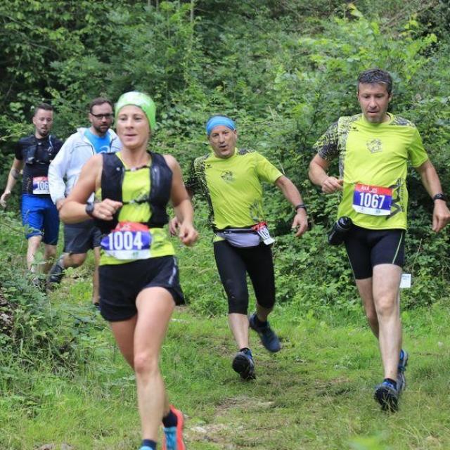 Trail en Haut Val de Sèvre