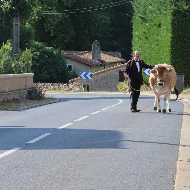 Festival Traverse! en Haut Val de Sèvre