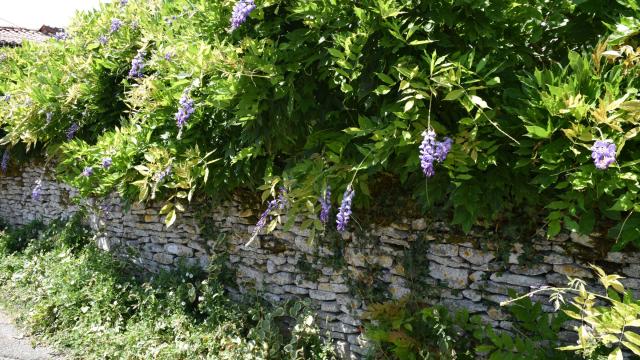 Balade à Augé en Deux-Sèvres charme des ruelles