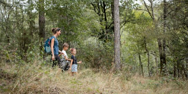 Le Puits d'Enfer, Espace Naturel Sensible en Haut Val de Sèvre