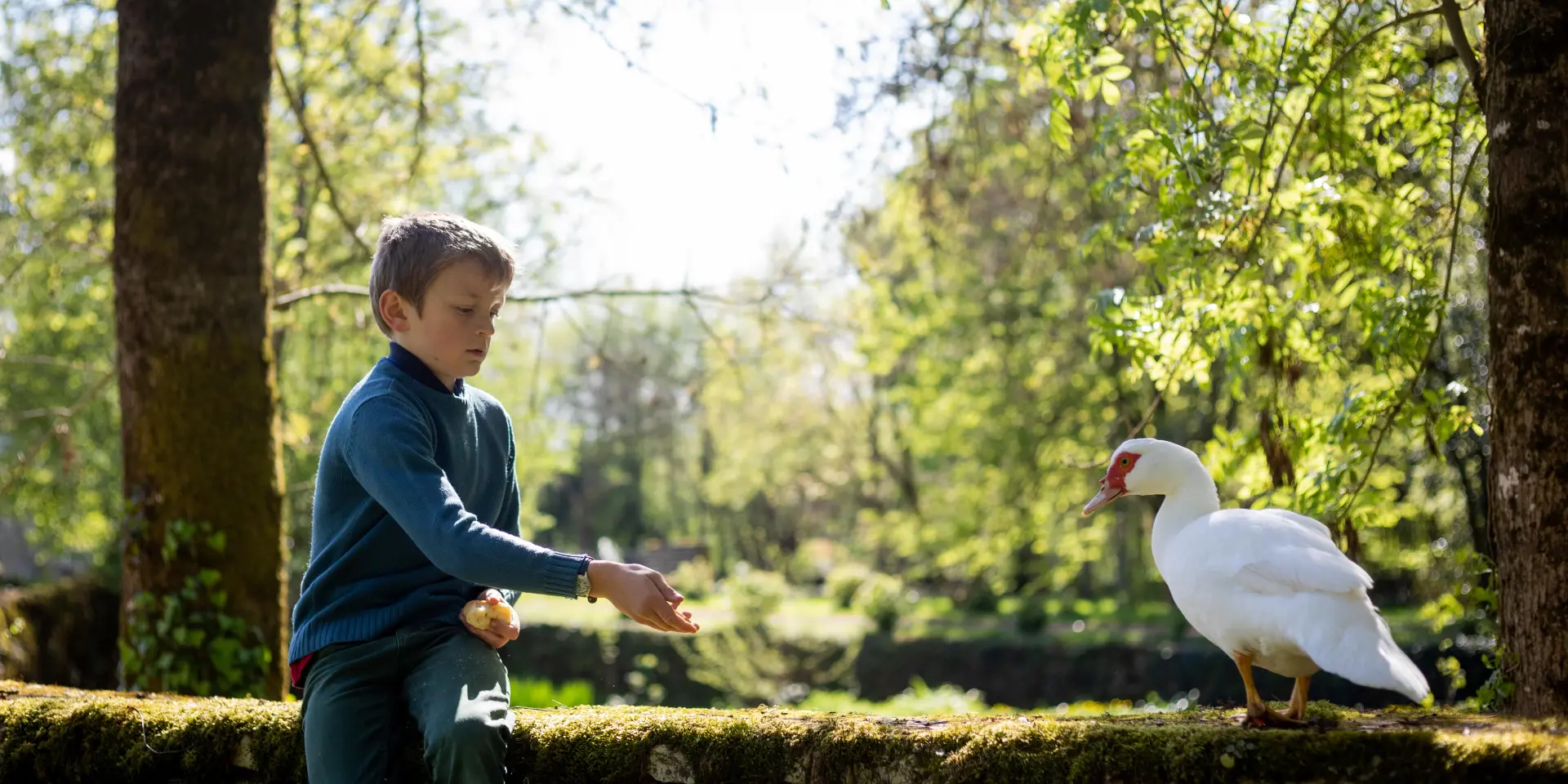 Expériences pour faire le plein d'énergie Haut Val de Sèvre