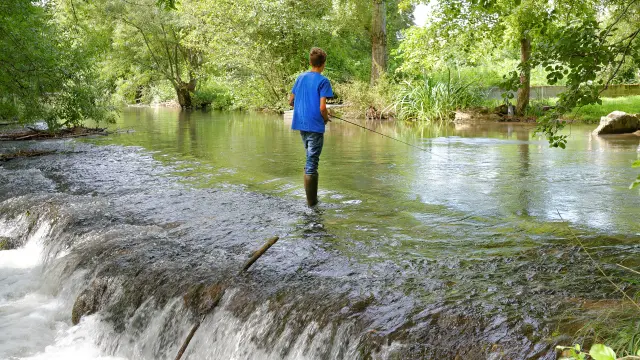 Sevre Niortaise Ruffigny Pw 255911